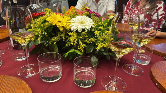 Primera cata de vinos mexicanos