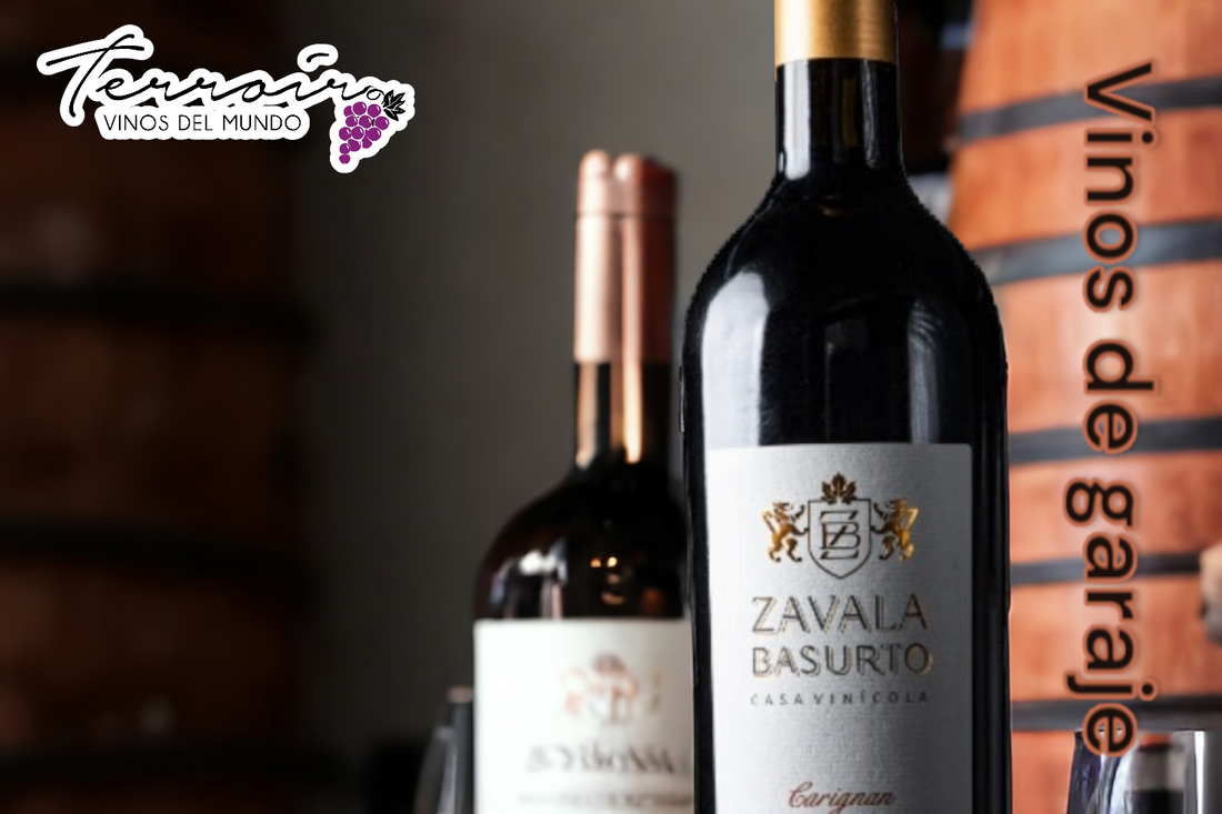 Vinos de garaje: La joya artesanal del mundo vinícola