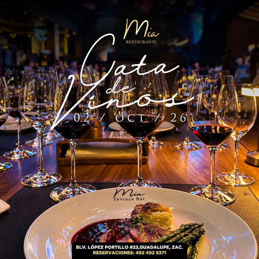 Cata de vinos en Mía Restaurante