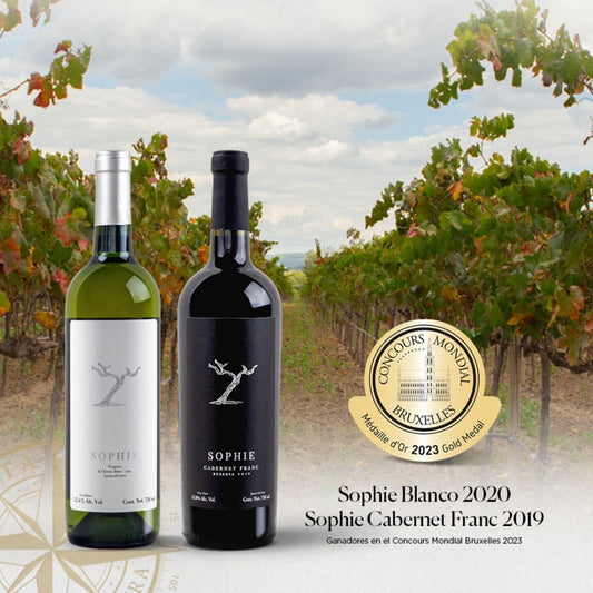 Ganadores de Bruselas 2023: Sophie Blanco & Cabernet Franc