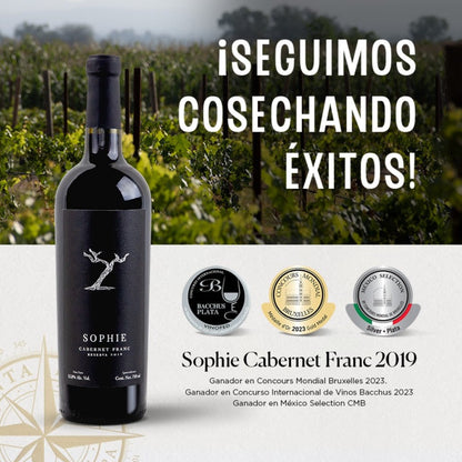 Ganadores de Bruselas 2023: Sophie Blanco & Cabernet Franc