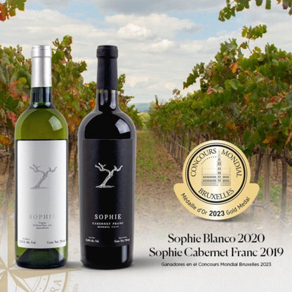 Ganadores de Bruselas 2023: Sophie Blanco & Cabernet Franc